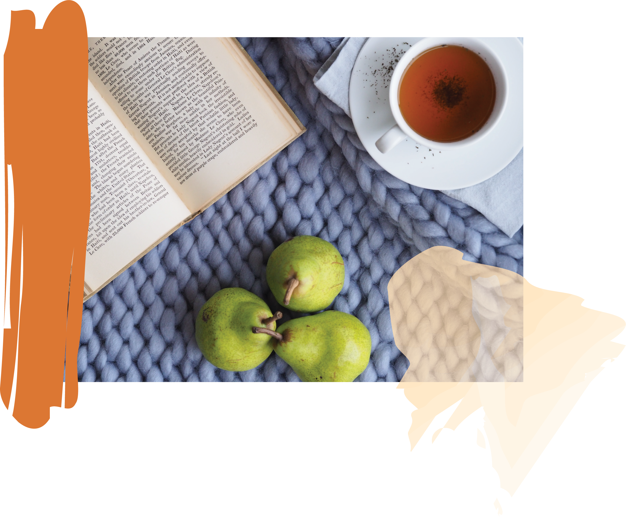 Fruit, book, and tea on top of a braided blanket