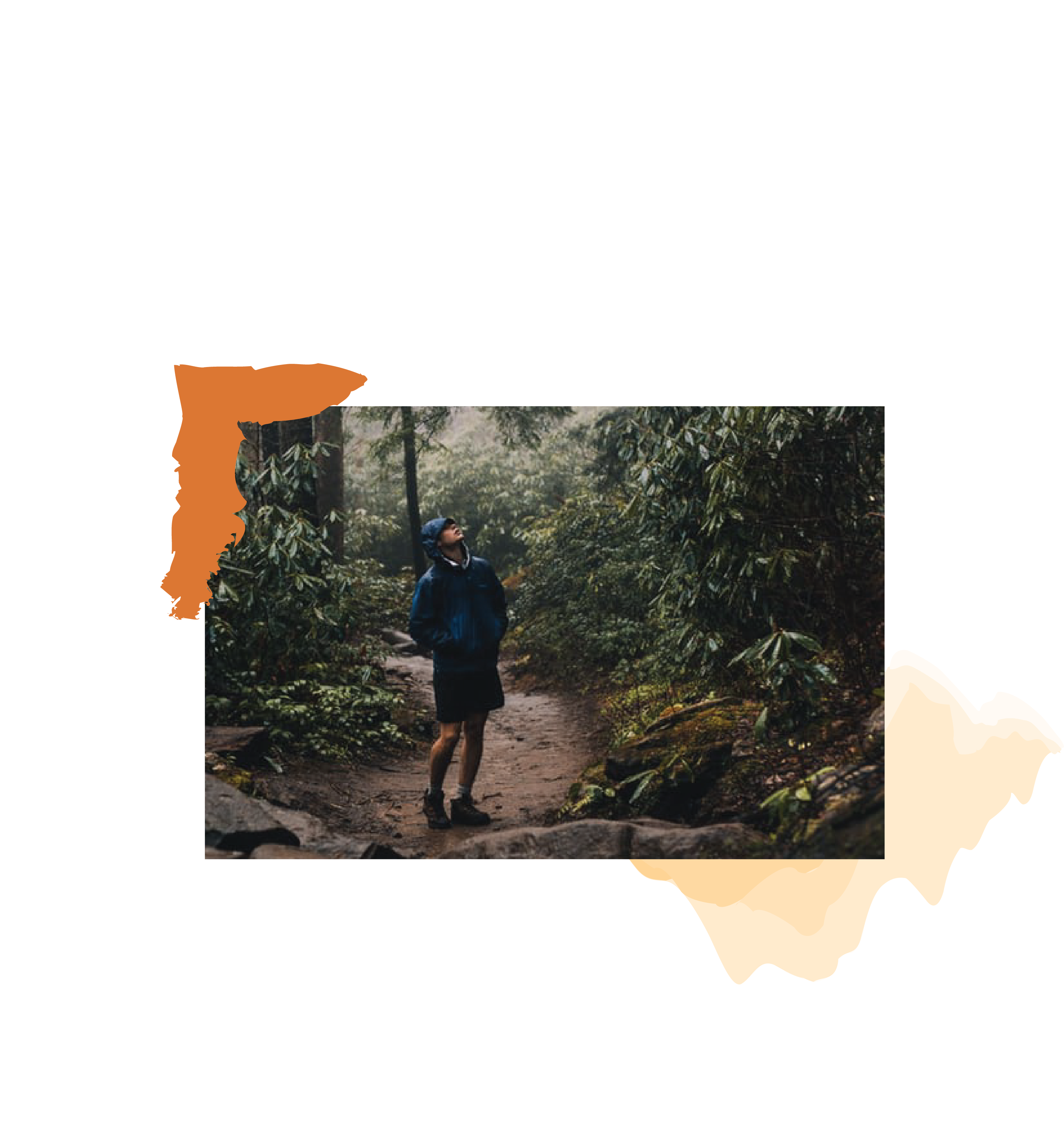 Person on a path in a forest