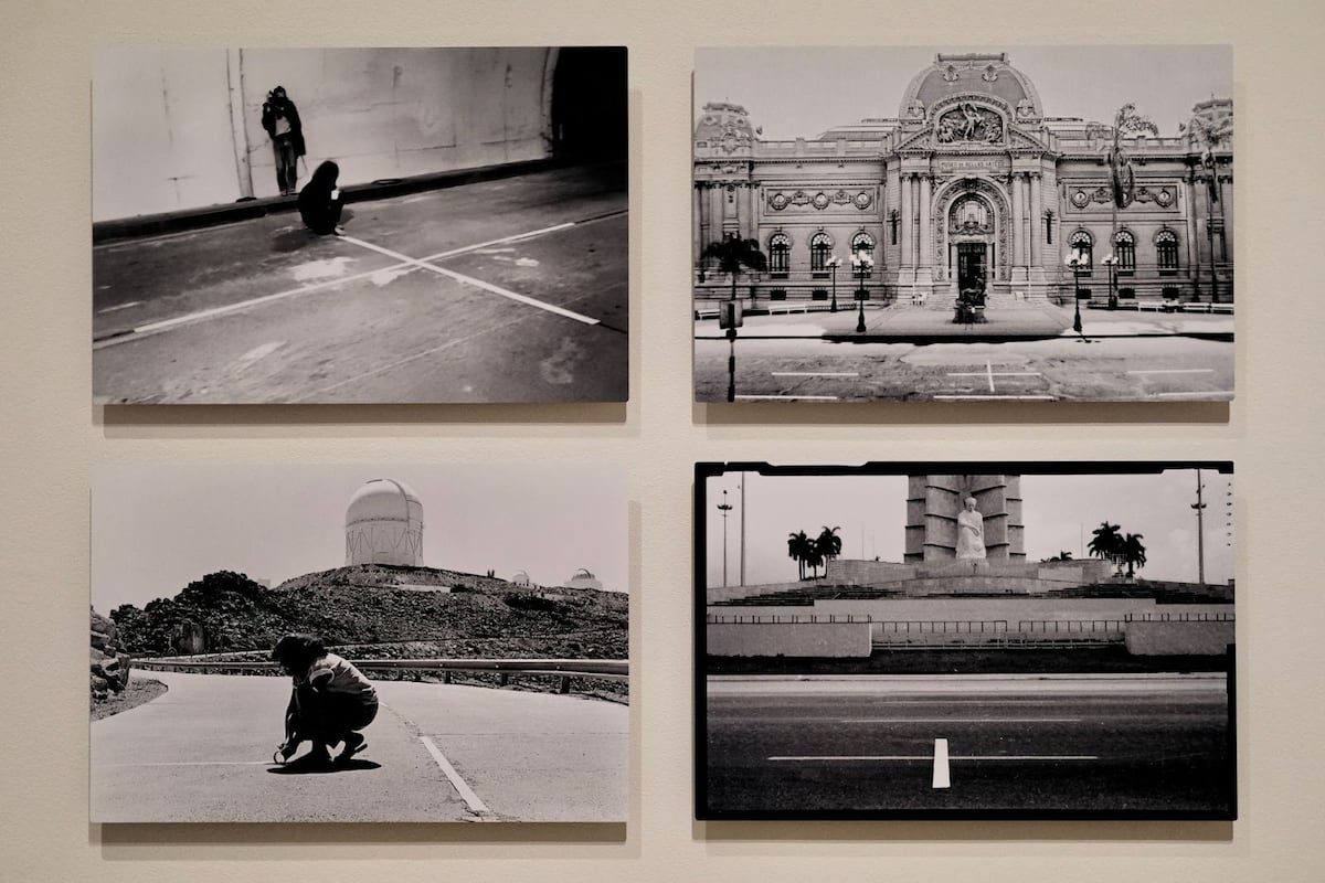 Disobedient spaces: Wallach Art Gallery opens first U.S. retrospective ...