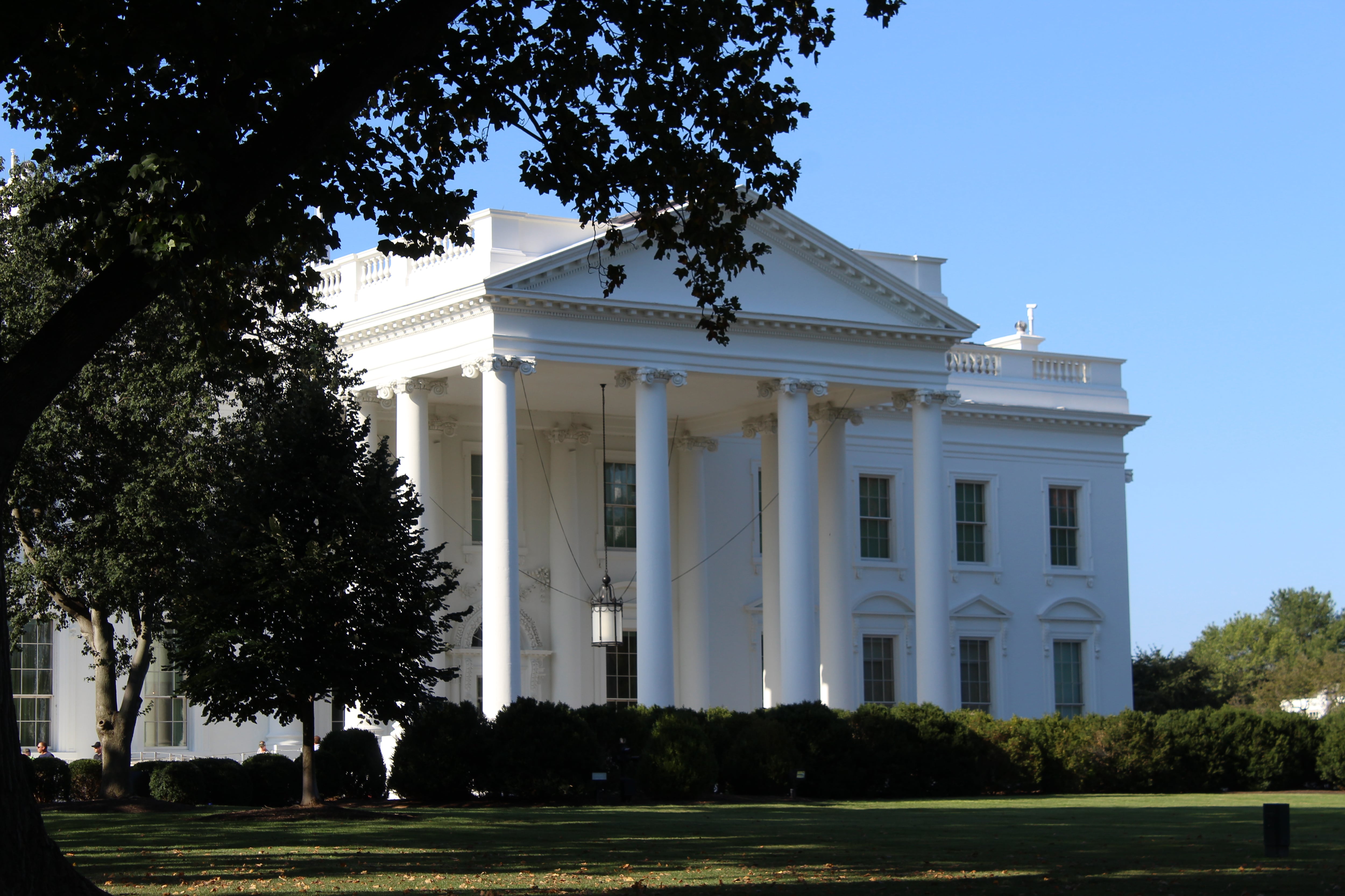 Federal appeals court allows Trump’s anti-DEI orders to move forward