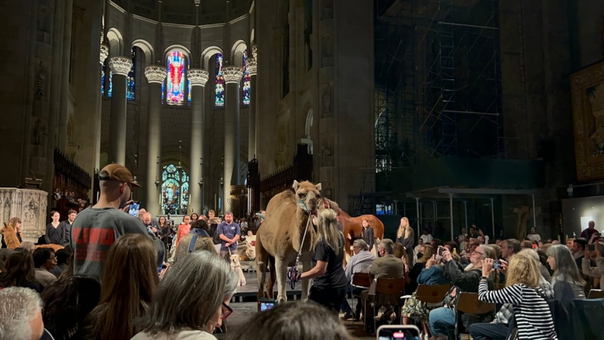 St. John’s Episcopal Church Hosts 15th Annual Blessing of the Animals
